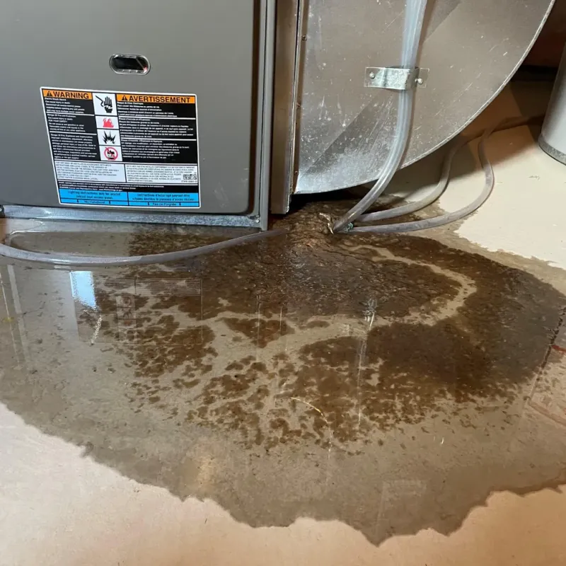 Appliance Leak Cleanup in Rotterdam, NY